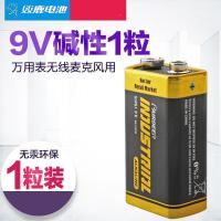 双鹿 6LR61 碱性电池 中文 9v(一粒装)