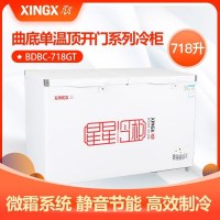 星星(XINGX) BD/BC-718GT 卧式冷柜 铜管蒸发器 晶钻包角 冷冻冷藏可转换 718升