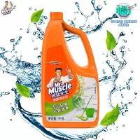 威猛先生 地面清洁剂 草本 1kg
