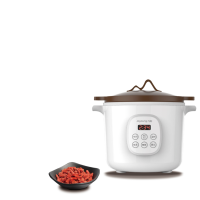 九 阳电炖锅DGD2066AM