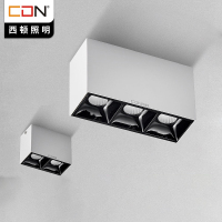 西顿照明LED明装射灯双头吸顶式射灯客厅无主灯照明格栅灯斗胆灯