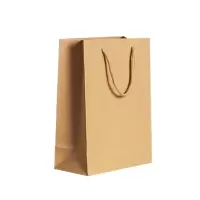 SCP 手提袋 SCP0012 礼品袋服装购物牛皮纸袋 20*28*10cm 50个起订（个）