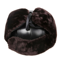 SCP 防冻棉帽子 SCP-DX0076 防寒报警帽安全帽冬天保暖安全帽电工报警器(顶)