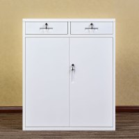 钱柜钢制矮柜储物柜文件柜铁皮柜办公柜资料柜档案柜拆装 1090白鲨二抽下节