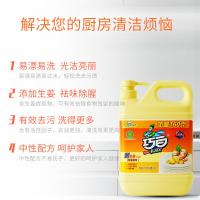 巧白洗洁精果蔬洗涤剂植物生姜洗涤灵1.16kg