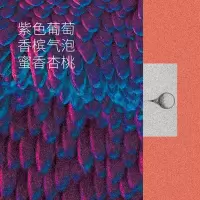 巴拿马波奎特阿塔莉庄园 混合式低温发酵日晒瑰夏手冲咖啡