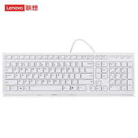 联想(lenovo)键盘 有线键盘 办公键盘 巧克力键盘 电脑键盘 笔记本键盘 K5819单键盘 白色