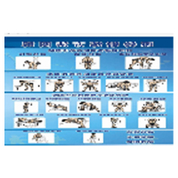 肌肉健身海报展板宣传《哑铃锻炼方法》写真图 48寸 PP胶