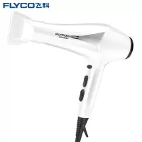 飞科(FLYCO)FH6102 2200w大功率吹风机 白色 计价单位:个