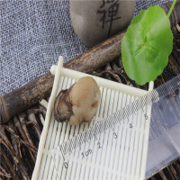 霞浦 味之霏--海蛎干(袋装) 250g