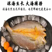 霞浦 味之霏--黄鱼鲞(袋装) 500g