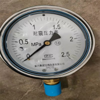 星球 不锈钢压力表6MPa