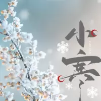 希思腾科Systemteq数据线缆-南京苏宁世贸N