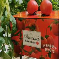 陕西普罗旺斯自然沙瓤水果西红柿约5斤礼盒装(单位:盒)