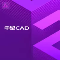 ZWCAD 中望CAD平台软件V2019 单机