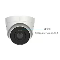 海康威视DS-IPC-T12H-I 200万高清网络红外半球摄像机 H.265