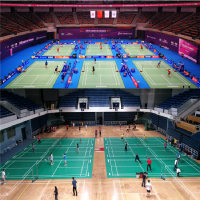 英利奥 标准 羽 毛 球 球场108㎡（含水晶沙5.0防滑耐磨运动地板、球网、网架、辅材）