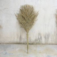 中竹扫帚(有叶子)(10把装)