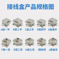 ZDET 昂力防爆接线盒G1 弯通