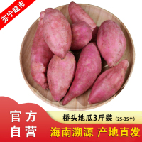 [官方溯源 海南直发]海南澄迈桥头地瓜 3斤装 (25-35个) 新鲜番薯 农家板栗红薯