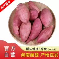 [官方溯源 海南直发]海南澄迈桥头地瓜 3斤装 (25-35个) 新鲜番薯 农家板栗红薯