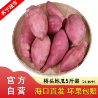 [官方溯源 海南直发]海南澄迈桥头地瓜 5斤装中果 (25-35个) 新鲜番薯 农家板栗红薯