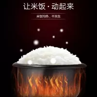 美的(Midea)电饭煲美的(Midea)电饭煲SCF3079-FD[线下同款]