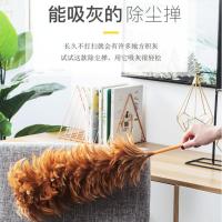 鸡毛掸清理灰尘