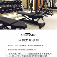 施菲特 罗马椅健身房健身器材山羊挺身背部腰部力量训练器材 SF3220