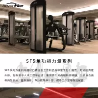 施菲特 坐姿转体训练器商用健身房力量器材健身房腰腹转动练习器 SF5004