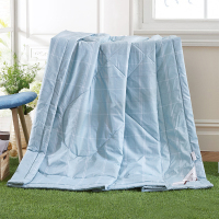 紫韵玉锦雅韵蚕丝被1.8*2米