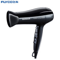 飞科(FLYCO)电吹风 FH6231