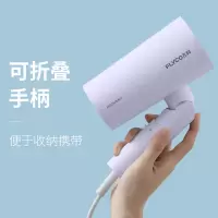 飞科(FLYCO)电吹风 FH6277