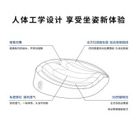 和正 (HEZHENG) HZ-RJY-1 养生热灸仪