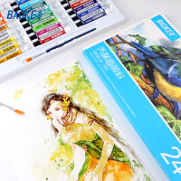 宝克(baoke) WP801#18色 水彩笔 丙稀画颜料 18支/套 单套价格