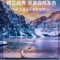 TCL 75Q10 75英寸 QLED原色量子点电视 安桥音响 AI声控智慧屏 超薄全面屏 MEMC防抖 3+32GB