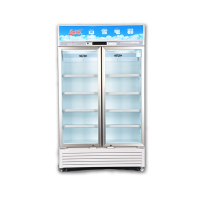 白雪雪龙飞冷藏陈列柜SC-400