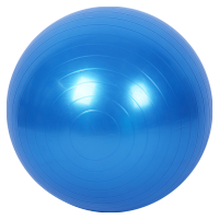 皇室美居 PVC加厚防爆瑜伽球2个起发 （紫色/粉色/蓝色）55cm【600克】光面