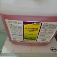 草甘膦铵盐 灭生性除草剂 除非耕地杂草 4000克/瓶 *4瓶