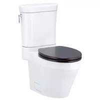 COTTO C12607/C9241 阿普拉分体座便器
