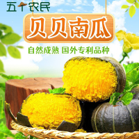 [五个农民]贝贝南瓜礼盒4.5斤(5-6个装)包装换新粉糯香甜新鲜蔬菜
