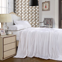 富安娜丝蕴蚕丝被 200*230mm