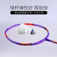 何大屋Hodtown HDW1311 羽毛球拍双拍 成人健身用羽毛球拍2支只羽毛球训练比赛耐打碳素羽拍初学者 
