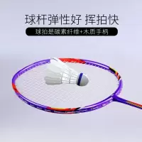何大屋Hodtown HDW1311 羽毛球拍双拍 成人健身用羽毛球拍2支只羽毛球训练比赛耐打碳素羽拍初学者