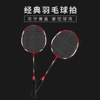 何大屋Hodtown 羽毛球拍双拍 成人健身用羽毛球拍2支只羽毛球训练比赛耐打碳素羽拍初学者 经典羽毛球拍HD