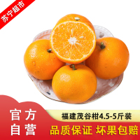 福建茂谷柑橘子水果 当季现摘 生鲜 茂谷柑 大果4.5-5斤装