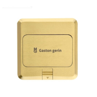 Gaston gerin梅兰日兰 电脑地插二位网络 2只装