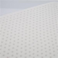 HBZX-005 经典乳胶枕