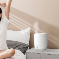 加湿器 30G