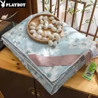 花花公子(PLAYBOY)夏季蚕丝被100桑蚕丝夏凉被纯棉夏被可水洗春秋被空调被子